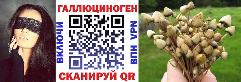 наркота Алапаевск Галлюциногенные грибы прущие грибы